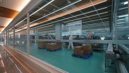 未来生物 以卓越品质与专业服务，铸就生物技术开发领域的信赖之选