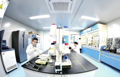 辛小湘丨促进民营经济高质量发展的湖南答案 生物技术开发服务的创新与实践