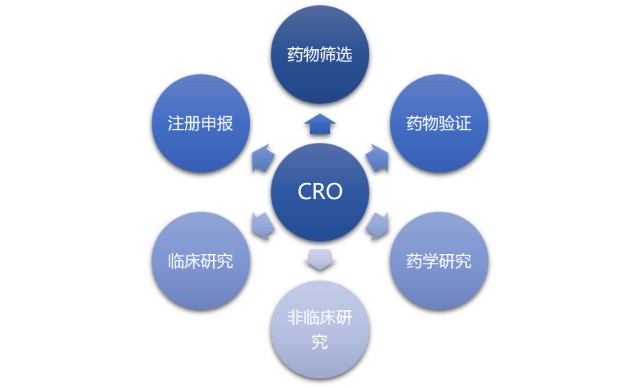 医药CRO行业 从萌芽到勃兴的演进之路与竞争壁垒剖析