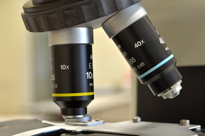 生物经济 定义、核心特征与生物技术开发服务的驱动作用