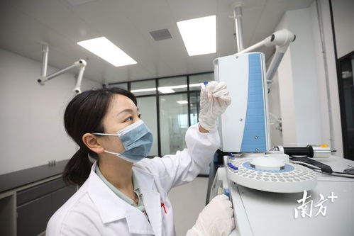 金湾生物医药产业研究院试运营 开启全链条新药研发服务新篇章