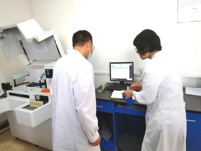 天岳生物创新引领，喜获河北省双创大赛佳绩